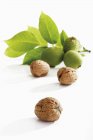 Walnuts in shell with leaves — Stock Photo