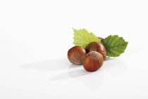 Hazelnuts with leaves on white — Stock Photo