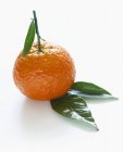 Mandarina madura con hojas - foto de stock