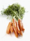 Monte de cenouras frescas com topos — Fotografia de Stock
