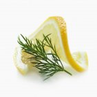 Fetta di limone e rametto di aneto — Foto stock