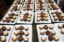 Plateaux de cupcakes assortis — Photo de stock