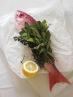 Red Snapper Tied with Mint and Thyme — Stock Photo