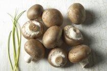 Funghi di castagno freschi — Foto stock