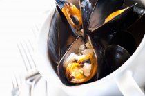 Cooked Mussels in wine — Stock Photo