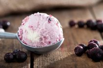 Blueberry ice cream — Stock Photo