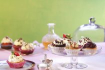 Verschiedene Cupcakes auf Tellern — Stockfoto