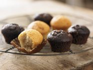 Mini muffins on cooling rack — Stock Photo
