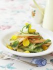 Salada de legumes com pétalas de rosa e hortelã na placa branca sobre toalha de mesa com garfo — Fotografia de Stock
