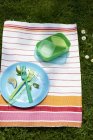 Ein ausgeräumter Teller und Picknickgeschirr auf einem gestreiften Tuch — Stockfoto