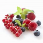 Raspberries with currants and blueberries — Stock Photo