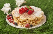 Waffles with raspberries and redcurrants — Stock Photo