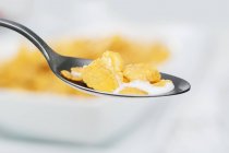 Cuchara de copos de maíz con leche - foto de stock