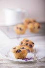 Muffins aux myrtilles sur assiette — Photo de stock