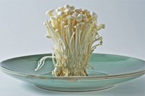 Fresh enoki mushrooms on a plate — Stock Photo