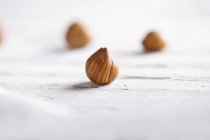 Dried whole hazelnuts — Stock Photo