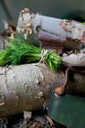 Un paquete de eneldo fresco con un picador de hierbas vintage en una pila de madera - foto de stock
