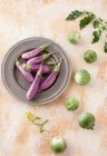 Fresh striped eggplants — Stock Photo