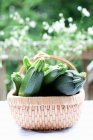 Zucchini inteiro fresco em uma cesta ao ar livre durante o dia — Fotografia de Stock