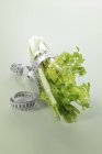 Fresh celery and measuring tape — Stock Photo