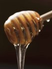 Miel dégoulinant de la trempette — Photo de stock