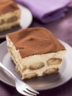 Piece of tiramisu on a plate with a fork — Stock Photo