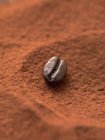 Chicco di moka in polvere di cacao — Foto stock