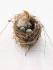 Closeup view of quail and marzipan eggs with feather in Easter nest — Stock Photo