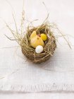 Vista ravvicinata del nido pasquale con pulcino fondente e uova di zucchero — Foto stock