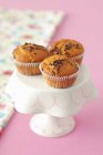 Muffins with chocolate chips — Stock Photo