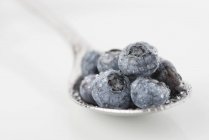 Blueberries on a spoon, close-up — Stock Photo