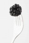 Blackberry stuck on fork — Stock Photo