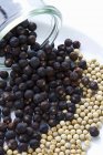 Juniper berries and peppercorns — Stock Photo