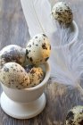 Quail eggs in eggcup with soft feather — Stock Photo