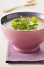 Мультигатавний суп у фіолетовій мисці — стокове фото
