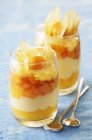 Layered dessert with apricots — Stock Photo