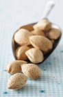 Almonds on metal scoop — Stock Photo