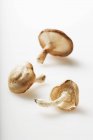 Fresh Shiitake Mushrooms — Stock Photo