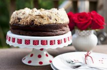 Schokoladen-Haselnuss-Baiser-Kuchen — Stockfoto