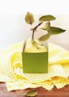 Closeup view of yellow pear in a green box with stem and leaves — Stock Photo