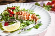 Filet de saumon dans une assiette blanche — Photo de stock