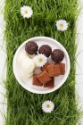 Assorted chocolates on plate — Stock Photo