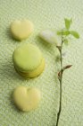 Macaroons de Limão Verde — Fotografia de Stock