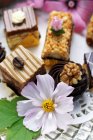 Petit fours with white flower — Stock Photo