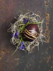 Vista superior de um ovo pintado em tons de marrom em um ninho — Fotografia de Stock