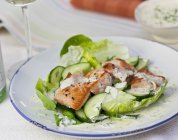 Салат з лососем та огірком — стокове фото