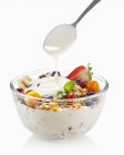 Yoghurt on bowl of fruit muesli — Stock Photo