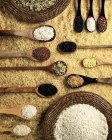 Various types of rice — Stock Photo