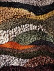 Assorted pulses arranged in waves — Stock Photo