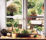 Lots of different herbs in front of a kitchen window with a view of the garden — Stock Photo